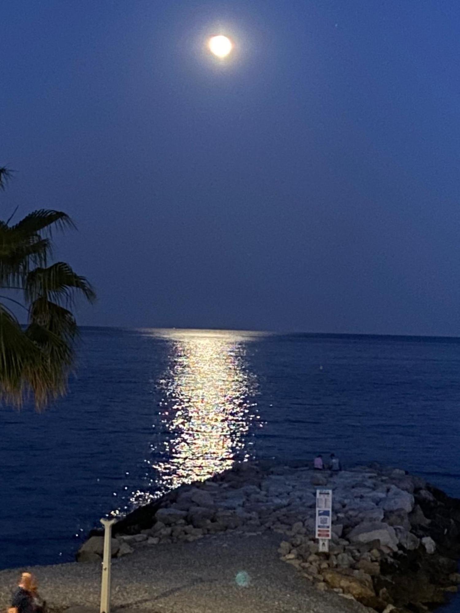 O Phare Du Cros Lejlighed Cagnes-sur-Mer Eksteriør billede